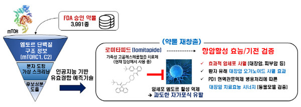 약물 가상 스크리닝 기술을 이용한 로미타피드 항암효능 개발. /KAIST