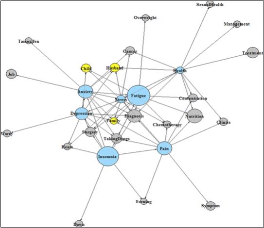 개별 인터뷰의 텍스트 분석을 통한 키워드(파란색 원)와 관련 단어(회색 및 노란색 원; 특별히 노란색 원은 가족 관련 단어)간의 네트워크 맵. 원의 크기는 인터뷰에서 각각의 단어가 언급된 빈도수를 의미. 단어 사이에 연결된 선의 수가 많을수록 네트워크 맵의 중심에 위치. Fatigue(피로), Pain(통증), Insomnia(불면), Anxiety(불안), 스트레스 등의 키워드가 Child, Husband, Family와 연결되어 있다.