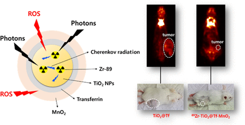 왼쪽 그림 : 내부는 산화티타늄, 외부는 산화망간으로 만들어 활성산소를 이중으로 방출하는 나노물질 구현, 오른쪽 그림 : 마우스 종양 모델을 통한 지르코늄-89가 도입된 티타늄-망간 나노물질의 암 억제 효과 / 논문 발췌