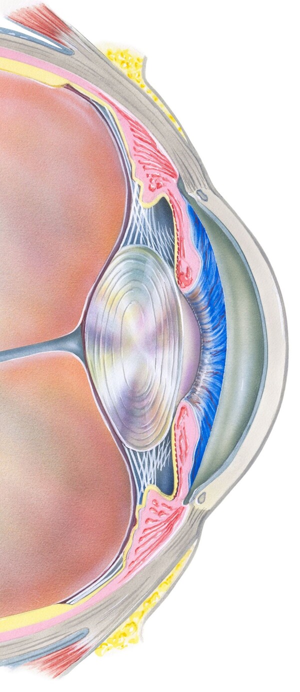 이미지 제공=게티이미지