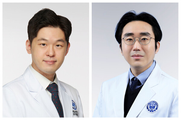 왼쪽부터 용인세브란스병원 박준영 교수와 세브란스병원 박관규 교수