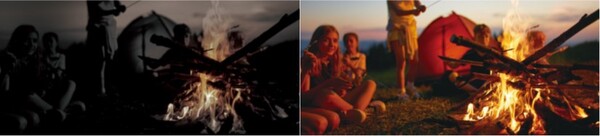 유전성 망막변성질환의 대표적인 증상 야맹증을 보여주는 이미지. 이미지 제공=한국노바티스