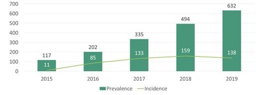 자료 제공=건강보험심사평가원 