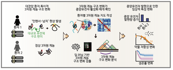 연구모식도 / KAIST