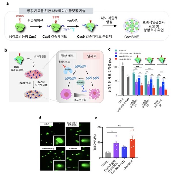 그래픽 제공=카이스트