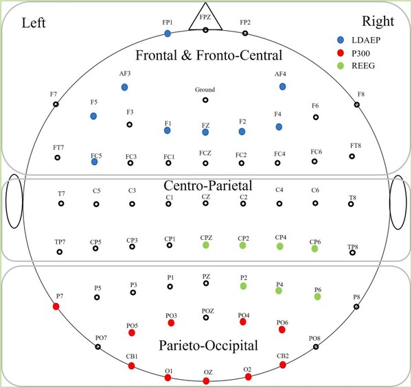 연구에 사용된 뇌파(EEG) 몽타주. 우울증환자와 정상인간에 차이가 나는 중요 채널 표시 /논문 발췌