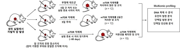 다중 오믹스 기반 mTOR 억제제 저항 메커니즘 규명을 위한 실험 디자인