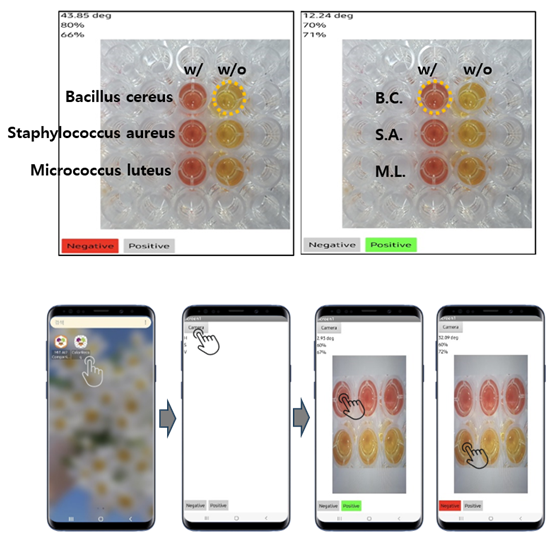 스마트폰 앱을 통한 실제 박테리아 검출 화면 / 한국생명공학연구원 