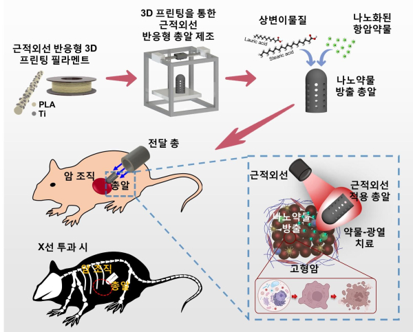 근적외선 유발 약물-광열 치료를 위한 3D 프린팅 나노약물 방출 총알 개요도. / 한국연구재단