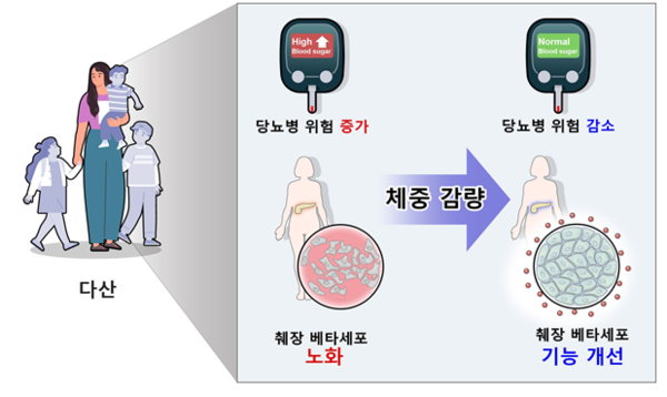 그래픽 제공=분당서울대병원