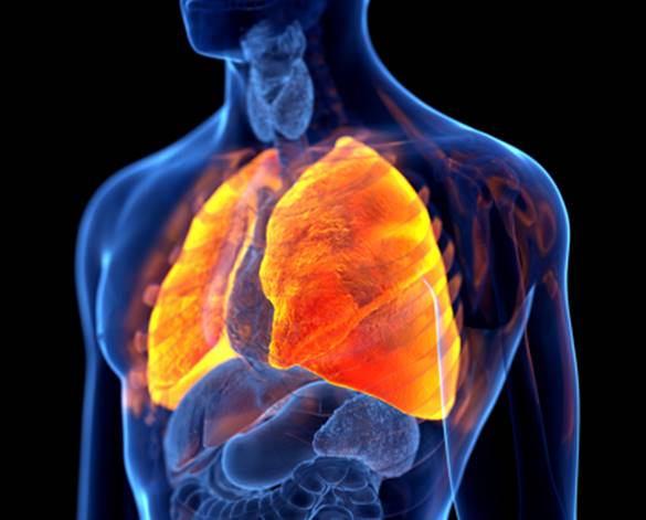 사진 GC녹십자의료재단 제공 