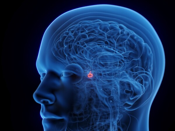 이미지 출처=게티이미지