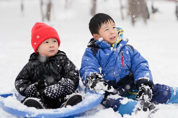 사진 출처=게티이미지