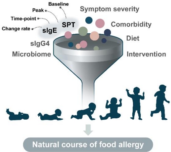 식품 알레르기의 자연 경과와 관련된 요인 모식도: sIgE는 특정 면역글로불린 E; SPT는 피부 단자 검사를 의미 / 논문발췌