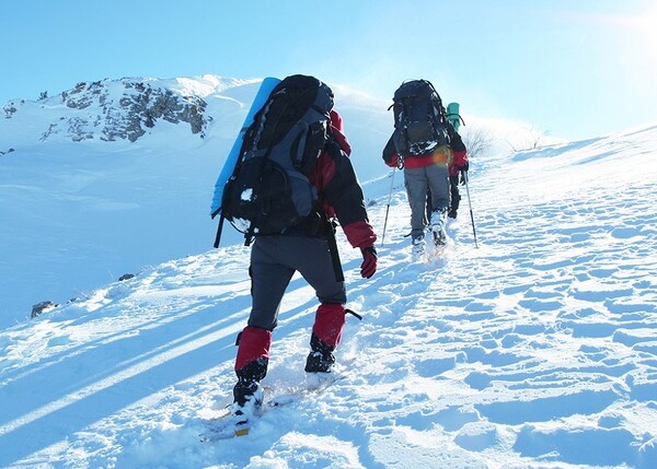 사진출처 : 클립아트코리아(대동병원 제공)