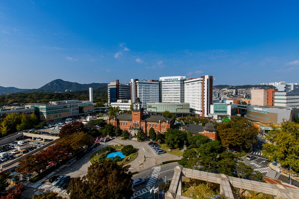 서울대병원이 한국능률협회컨설팅(KMAC)이 주관하는 ‘2024년 한국산업의 브랜드파워(K-BPI)’ 조사에서 종합병원 부문 24년 연속 1위를 차지했다. 사진 제공=서울대병원