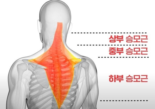 이미지 출처=나는 의사다 캡쳐