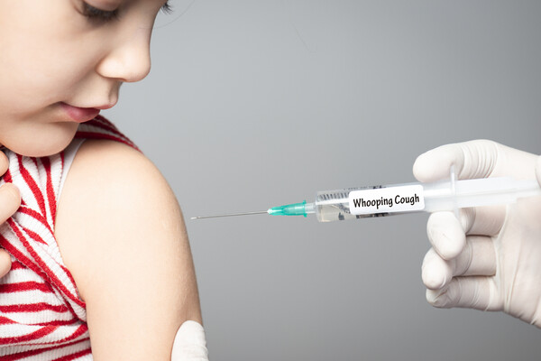 100일간 기침 발작을 유발하는 감염병 '백일해'가 최근 국내에서 폭증하고 있어 주의가 요구된다. 사진 출처=게티이미지