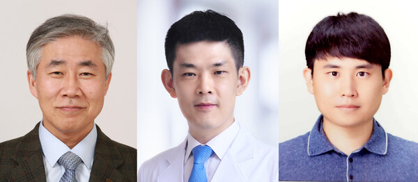백선하 교수, 김한준 교수, 이승민 임상강사. 사진 제공=서울대병원 