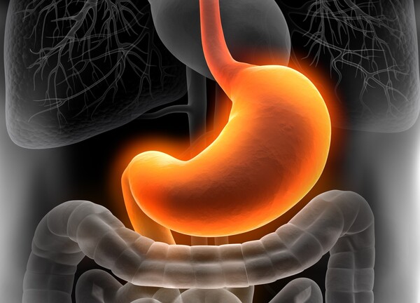 이미지 출처=게티이미지