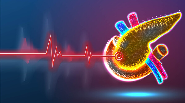 사진 출처=게티이미지코리아