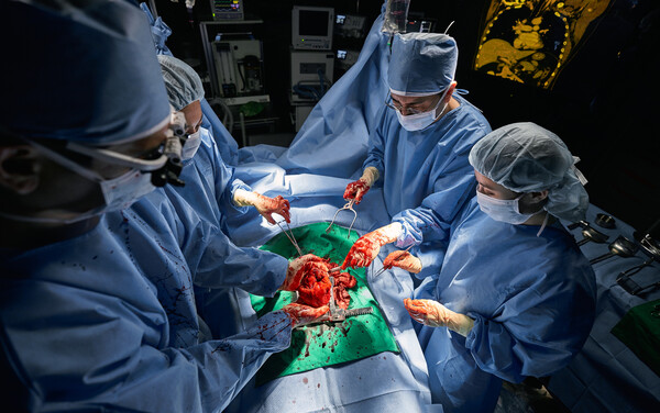 5년 계획으로 시작된 '중증진료체계 강화 시범사업'이 시행 1년여만에 사실상 정리 수순을 밟을 것으로 보인다. 사진 출처=게티이미지