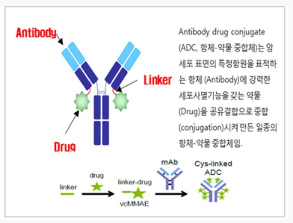 항체약물접합체. 그래픽 출처= KBIOHEALTH 