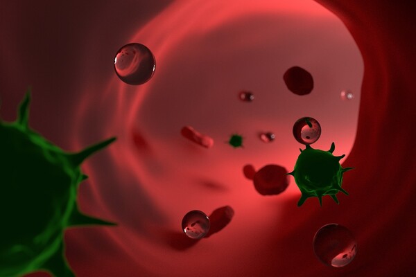 최근 충추신경계를 침범하는 희귀자가면역질환 중 미지(未知)의 영역에서 기지(旣知)의 영역으로 넘어온 질환이 있다. 바로 '항-모그항체 연관질환(MOGAD, Anti-MOG antibody associated disorders)'이 그것이다. 사진 출처=게티이미지