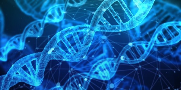 40대 남성에 근력약화·발기장애로 발현하는 희귀질환 '케네디병'