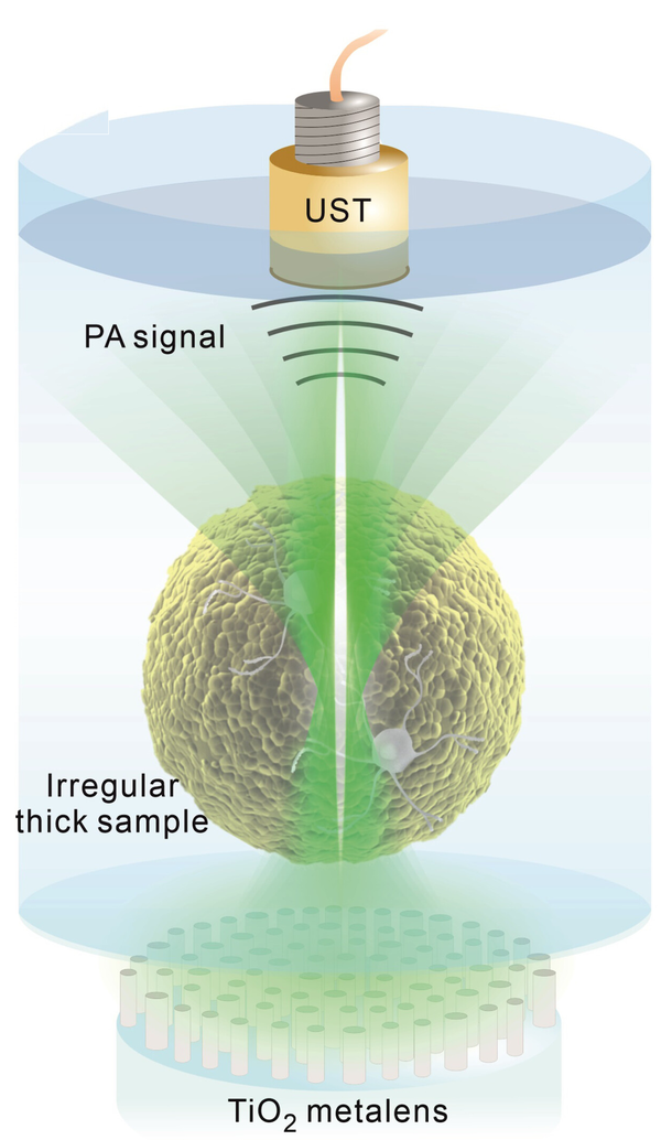 면이 고르지 않은 뇌 오가노이드의 이미지를 캡처하도록 설계된 MeD-PAM의 개략도, UST:초음파 변환기 /&nbsp; 논문발췌