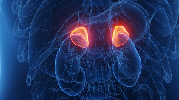 이미지 출처=게티이미지