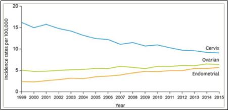 그림 1. 국내 자궁내막암 발생률 추이 (점차적 증가 추세)