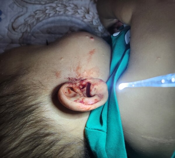 사진 제공=김나영 대표