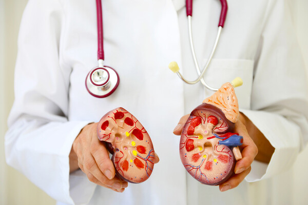 젊은 나이에 신장질환을 얻게 된 사람 중 적지 않은 사람들이 상염색체 우성 다낭성 신장질환, 파브리병 같은 유전성신장질환인데 이같은 원인 질병을 모른 채 일반적인 신장질환 치료를 받고 있다는 문제가 제기됐다. 사진 출처=게티이미지