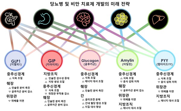 GLP-1제제 '위고비'·'마운자로' 뛰어넘는 차세대비만약, 개발 전략 뭘까 < 제약·의료기기 < News < 기사본문