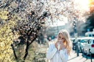 The reason why the flowering spring is not so nice…  ‘Allergic rhinitis’