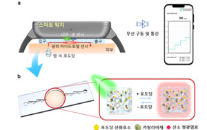 '땀'으로 실시간 혈당 체크 가능해지나 - 뉴스 썸네일 이미지